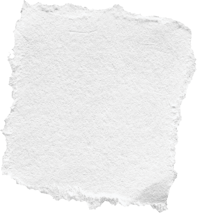 White Ripped Paper 
